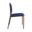Chaise d'invité sans accoudoir Chat Chat-98881964-98671309
