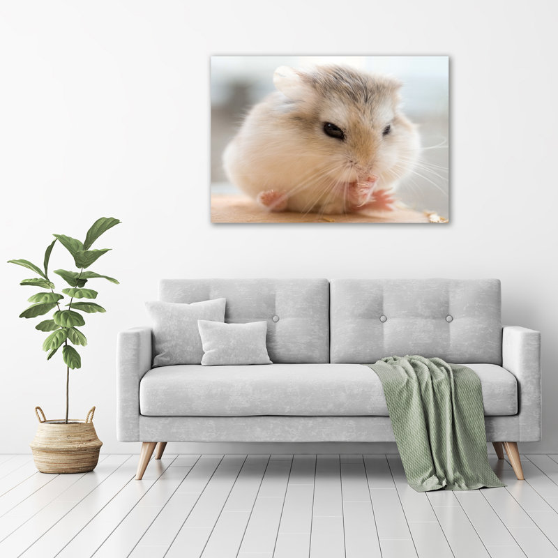 Hamster - No Frame Print on Glass
