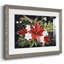 Collection Heaven & Nature A - reproduction de cadre photo simple-532109488-532109492
