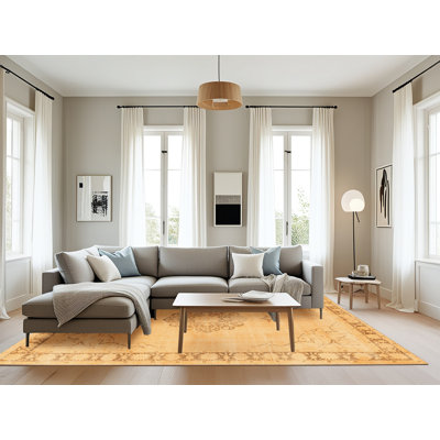 Oriental Indoor Rug