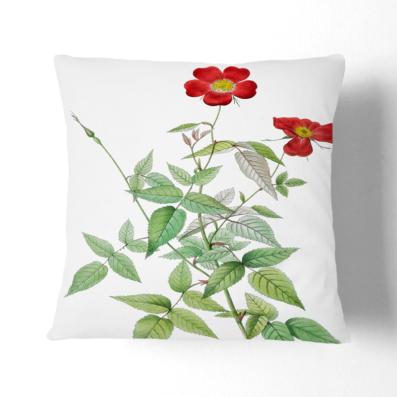 Square Throw Cushion, 55cm H x 55cm W x 20cm D