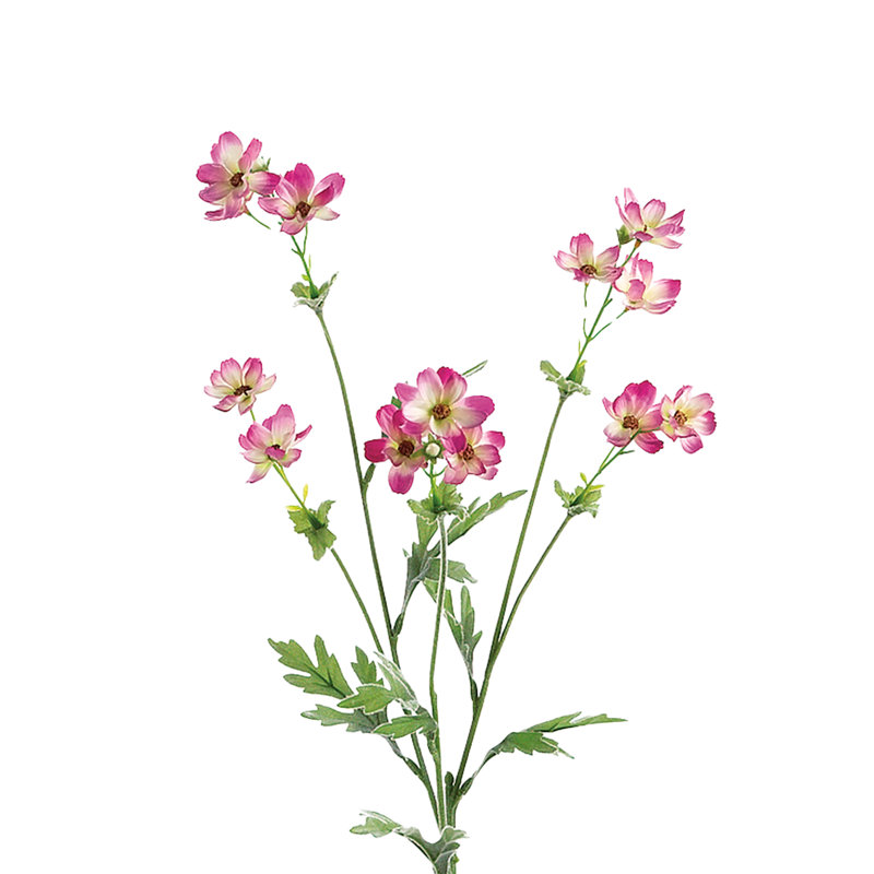 Arrangement de tournesol