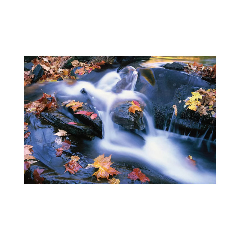 Autumn Leaves in Little River, Great Smoky Mountains National Park, Tennessee - Horizontal 1 Piece Wrapped Canvas Wall Art