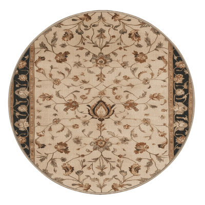 Machine Washable Persian Brown Area Rug