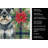 Schnauzer Christmas PoinsettIas Kitchen Towel-2080583846