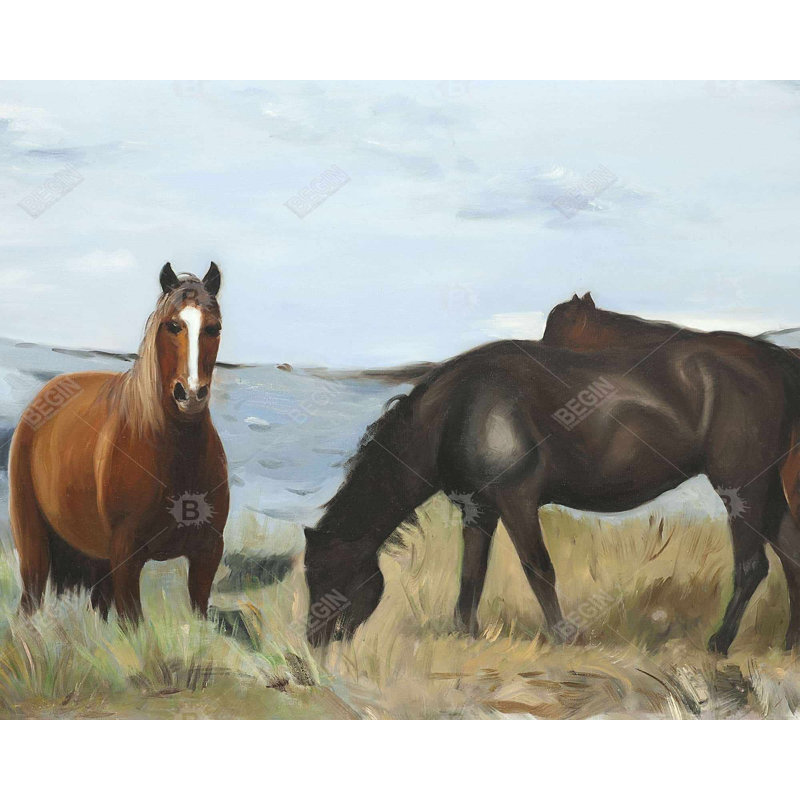 Chevaux mangeant dans la prairie