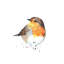 Red Breasted Robin by EdsWatercolours - Gallery-Wrapped Canvas Giclée on Canvas-49092466-524894