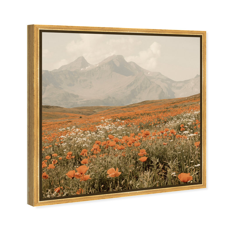 Orange Poppies by Oliver Gal, 17" H x 17" W, Gold Floater Frame
