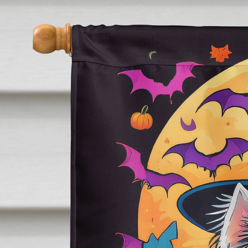 Jakameron Double Sided Polyester Halloween Garden Flag, 40" x 28"