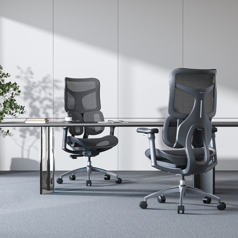 Ergonomic Office Chair, with Dual Dynamic Lumbar Support, 4D Armrests, Black, Black/Silver