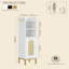 Freestanding Bathroom Cabinet