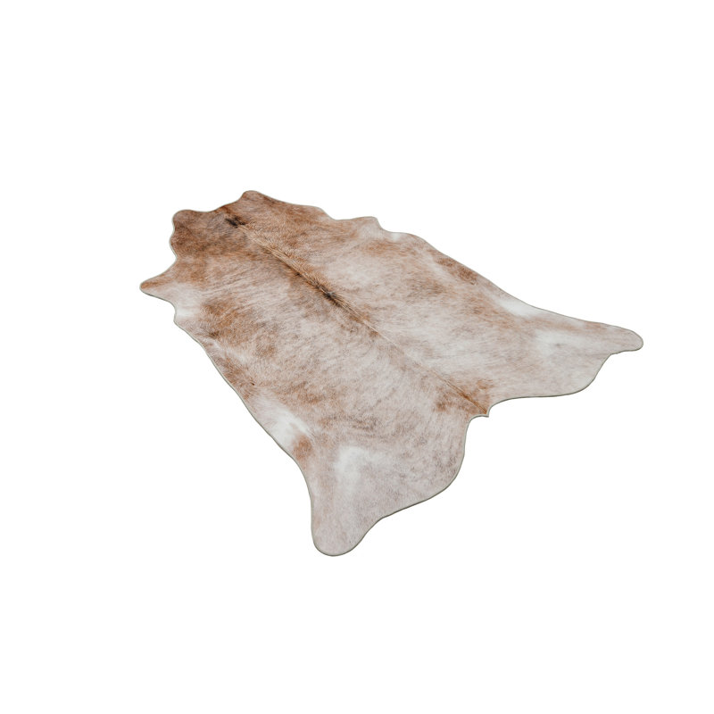 Shiffer Indoor Rug, Novelty 3'9" x 5'1"