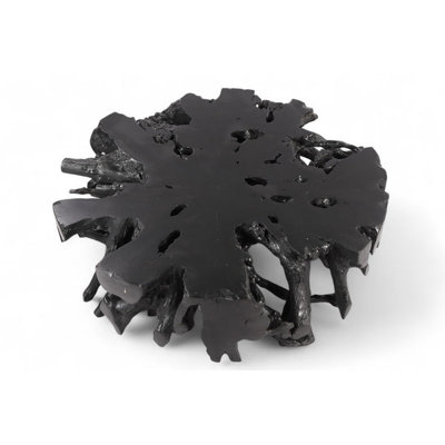 Racine de teck noir organique 63 po 63 po
