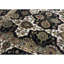 Lamani Wool Oriental Area Rug in Ivory/Black/Green