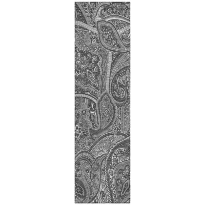 Itzayani Paisley Rug