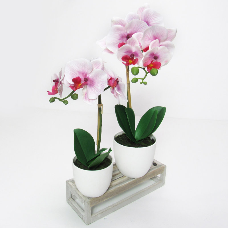 Centres de table orchidées phalaenopsis en pot, Lavande / blanc / vert, H 13 po x l 7,5 po x P 5 po