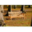 Rothsay Outdoor Teak Bench