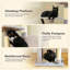 Arbre à chat inférieur pour chats d'intérieur, tour pour chat à plusieurs niveaux de 62 po avec 2 condos spacieux, patin à griffer, 4 poteaux à griffer, 2 perchoirs supérieurs, 2 pompons-730029786