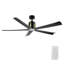 Ventilateur de plafond de 60 pouces avec télécommande et ensemble d'éclairage inclus.