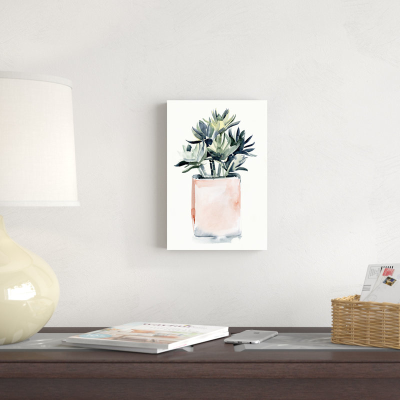 Plante grasse en pot IV, H 12 po x l 8 po