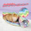  Jouet pour chat Rainbow-1352439940