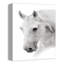 Cheval noir et blanc sur toile-434527034