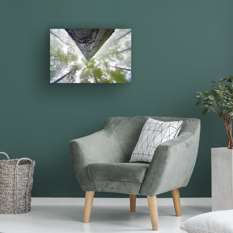 Œuvre sur toile, «ologic tom pavlasek », H 12 po x l 19 po