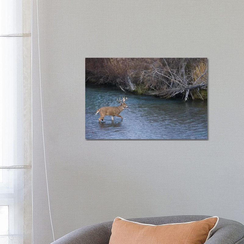 White-tail deer buck crossing river 1 Piece Wrapped Canvas Wall Art, 66.04 cm H x 45.72 cm W x 3.175 cm D