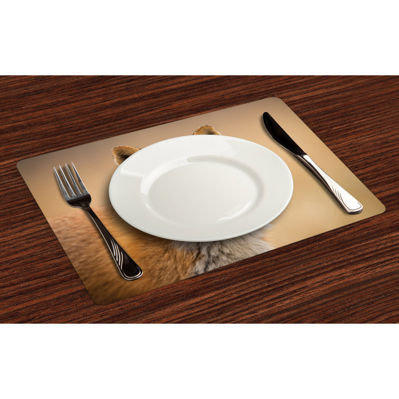 Récapitulatif 18,5" fox