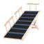 Pet Ramps-253103791