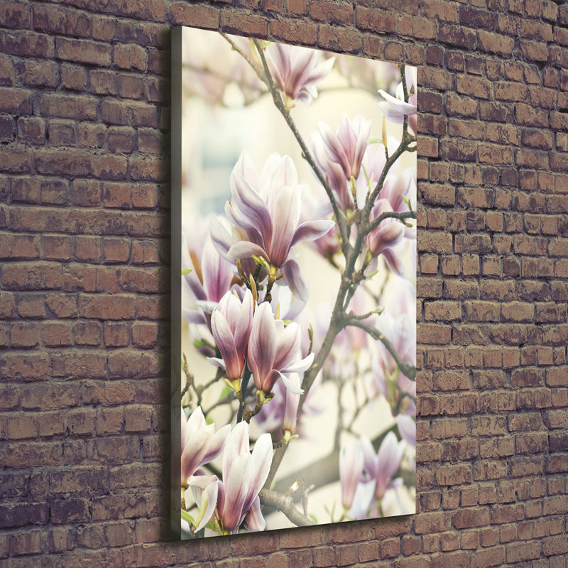 Magnolia - Wrapped Canvas Print, 140cm H x 70cm W