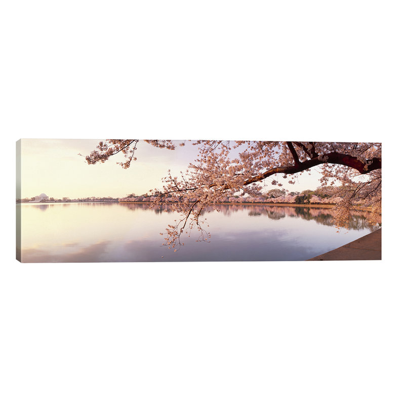 Cherry Blossoms At The Lakeside, Washington Dc, Usa - Wrapped Canvas Panoramic Print, 121.92 cm H x 40.64 cm W x 3.175 cm D