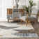 Vanita Transitional Southwestern Fringe Area Rug