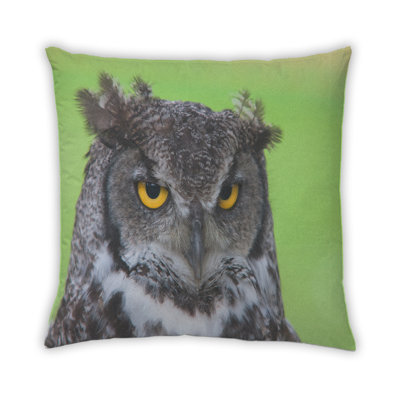 Coussin Owl 25