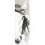 Magnifique cheval abstrait-723266596-723266598