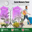 Maker Network Grow Light