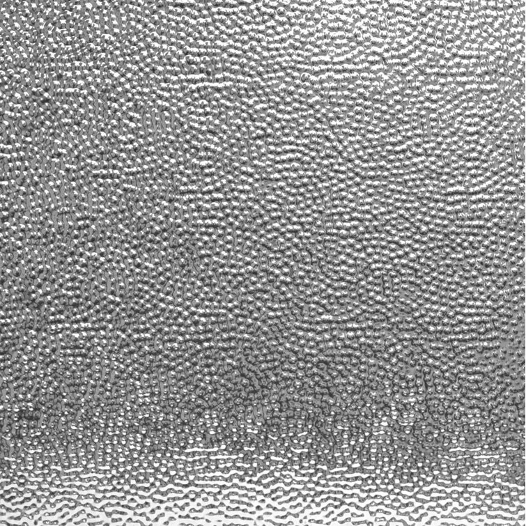 Shanko 2 ft. x 2 ft. Drop-in Tin Ceiling Tile