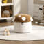 Repose-pieds avec rangement Mushroom Kids-529141159