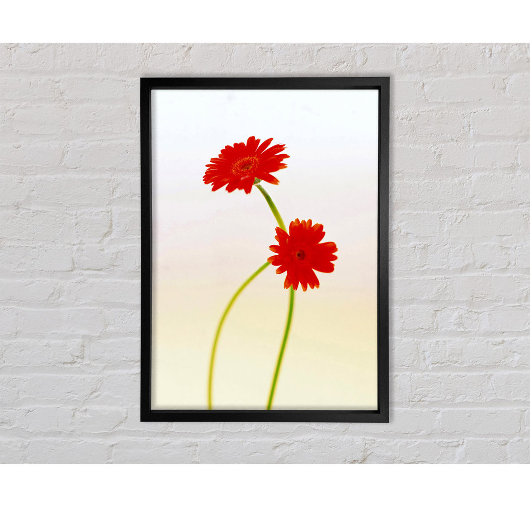 Twin Red Daisies - Einzelne Bilderrahmen Kunstdrucke auf Leinwand