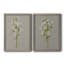 «White Field Flowers I», ensemble de 2 peintures sur toile encadrées-1126046348-1126046349