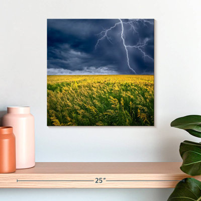 Alvord Thunderstorm