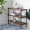 Console 33,75 po Anysha