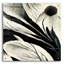 «Flowers Black White 7» par Ray Heere, art mural en verre acrylique, 12 po x 12 po-31921274