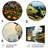 Rustic Buildings & Architecture Wall Decor on Metal