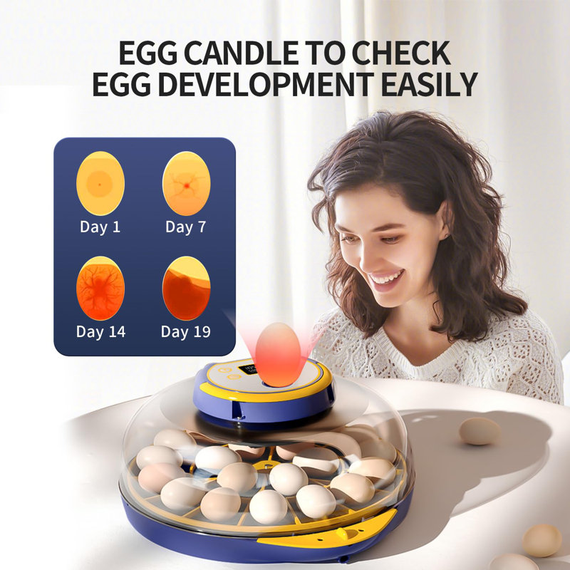 21 Egg Incubator, App Record Temperature and Humidity Data During Incubation, Incubator with Automatic Egg Turning and Humidity Control, Hold 21 Chicken Eggs (Blue)