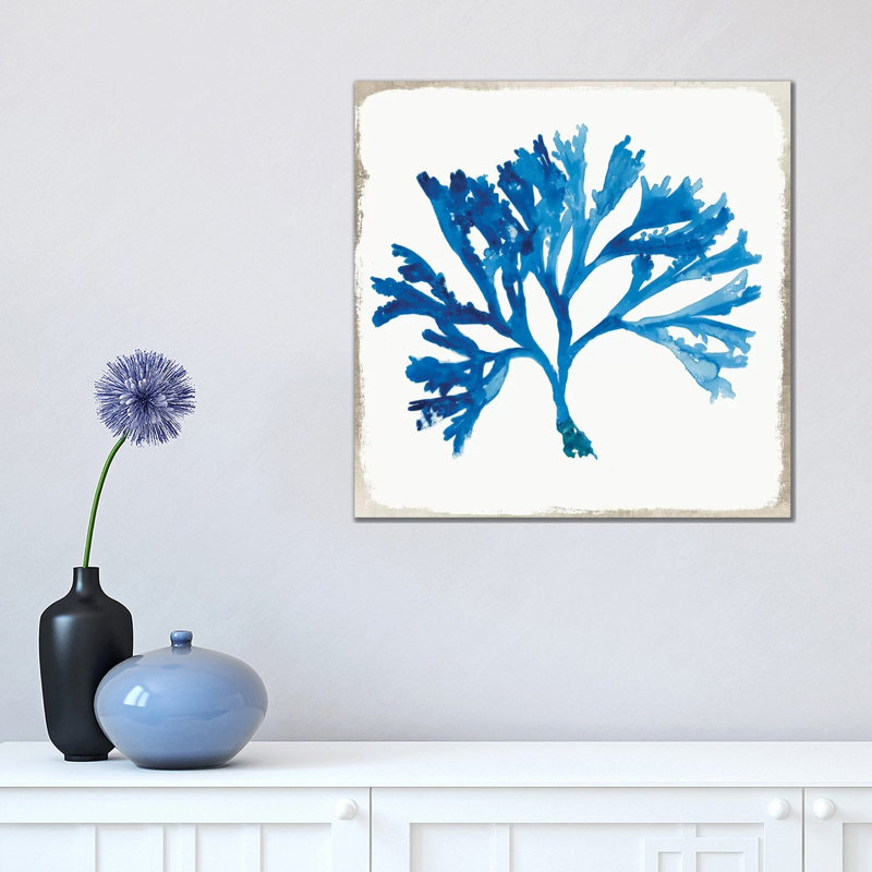 Blue Coral VI by Aimee Wilson - Wrapped Canvas Gallery-Wrapped Canvas Giclée, 45.72 cm H x 45.72 cm W x 1.91 cm D