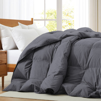 600 Fill Power All-Season Down Comforter - Goose Feather & Down Fiber, Box Stitch, Corner Loops