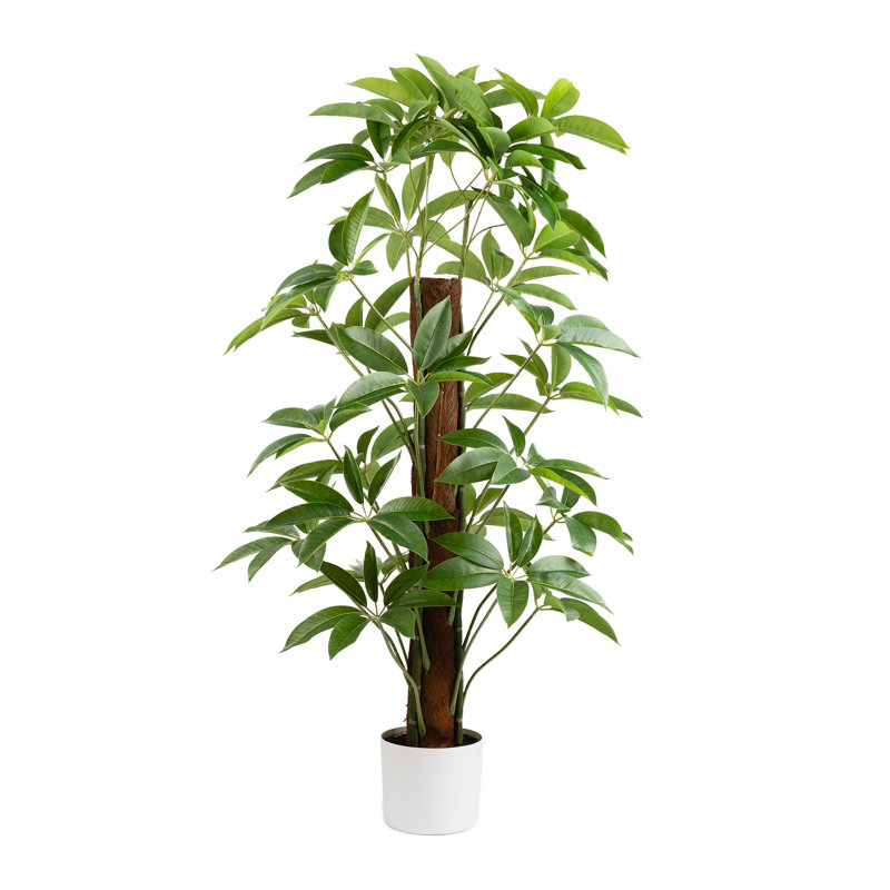 120cm Faux Real Touch Climbing Schefflera / Umbrella Plant in White Pot
