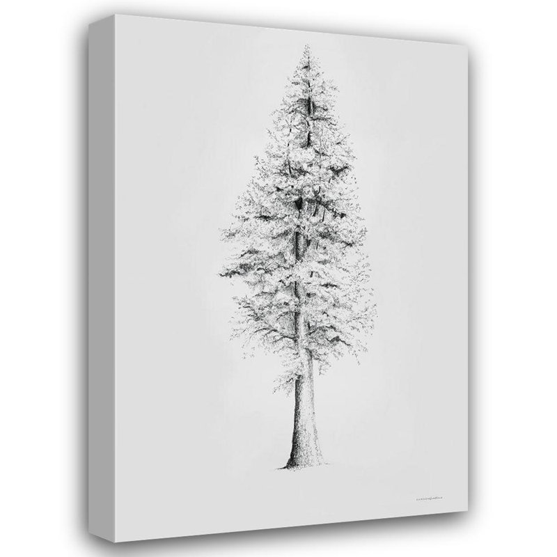 Art sur toile tendu Lark Manor ™ Kamdon Kreations Gallery: When a Redwood Isnt Red, H 48 po x l 33 po