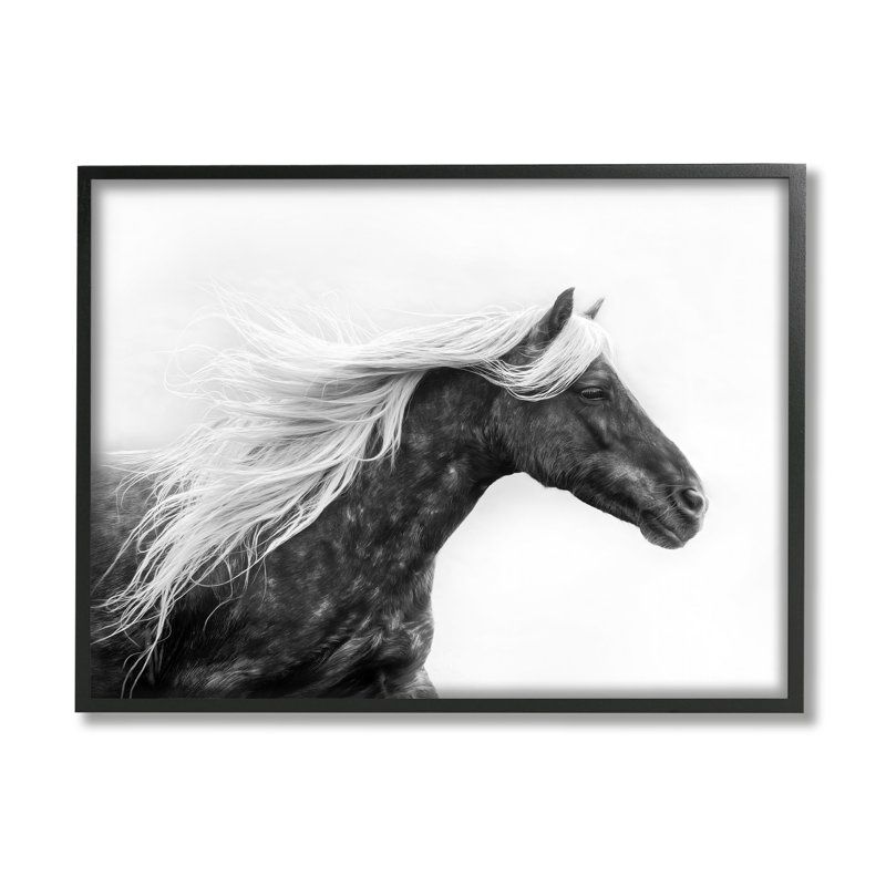 Black Framed Horse with White Mane Canvas Print, 30 x 24
